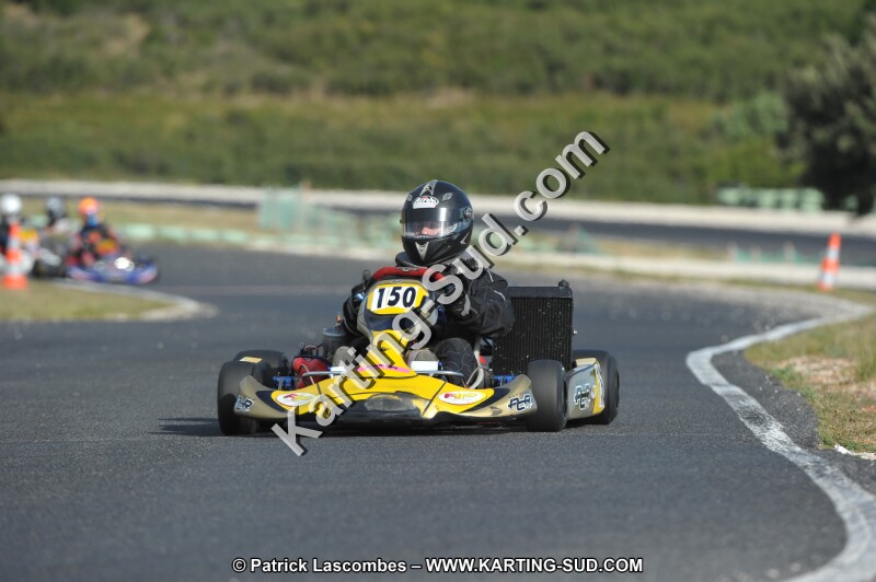 DSC (4013).JPG